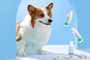 Soothing Stress: The Benefits of Calming Spray for Pets