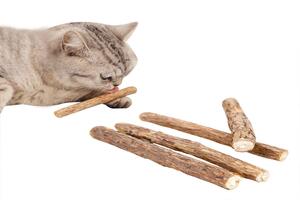 The Purr-fect Solution for Your Cat’s Dental Health：Catnip Dental Sticks